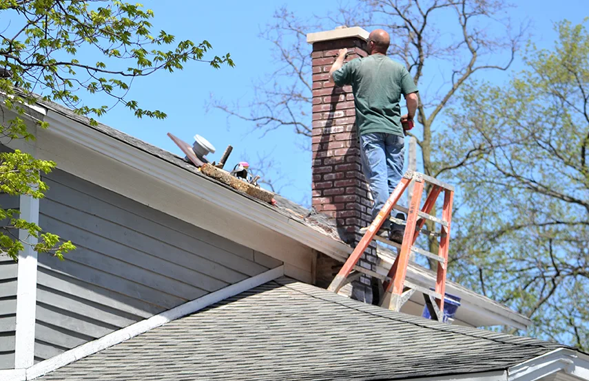 Chimney & Fireplace Inspections Services in Johnson City, NY